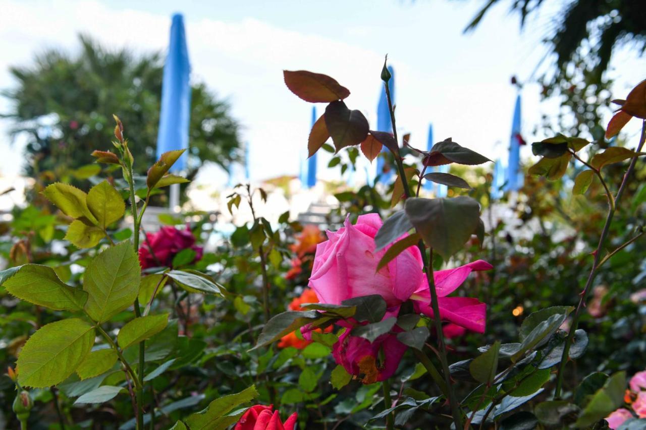 Hotel Majestic Lido di Jesolo Eksteriør bilde